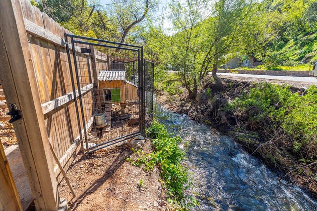 Creek Behind Home