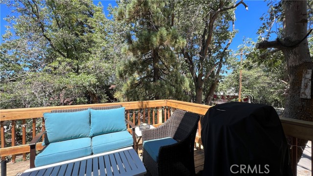 Detail Gallery Image 23 of 46 For 33478 Angeles Dr, Green Valley Lake,  CA 92341 - 2 Beds | 2 Baths