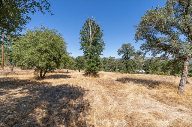 123 Edgemont Drive, Oroville, California 95966, ,Land,For Sale,123 Edgemont Drive,CRSN23162239