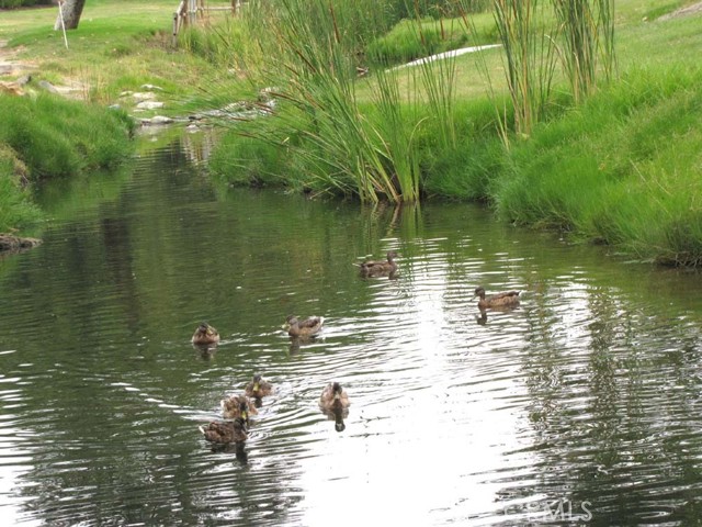 Detail Gallery Image 45 of 48 For 223 Avenida Marjoca a,  Laguna Woods,  CA 92637 - 2 Beds | 2 Baths