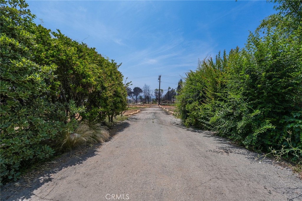 MLS #AR25132935 image #19