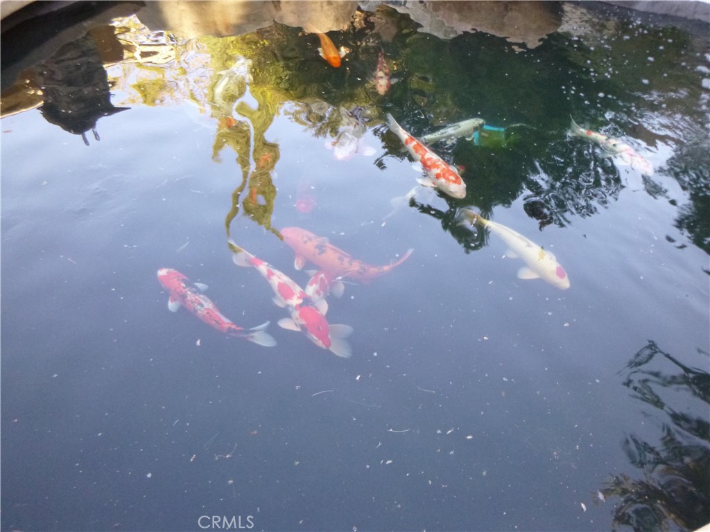 https://media.crmls.org/medias/ce255cad-522d-4f41-840a-eabcc8f9207d.jpg?preset=X-Large