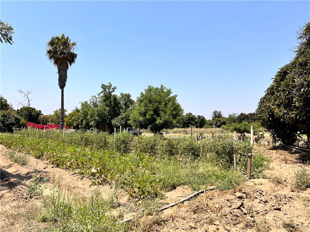 MLS #OC23188579 img 7