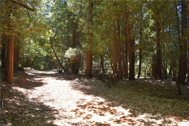 Detail Gallery Image 33 of 43 For 11605 La Porte Rd, Clipper Mills,  CA 95925 - 3 Beds | 2/1 Baths