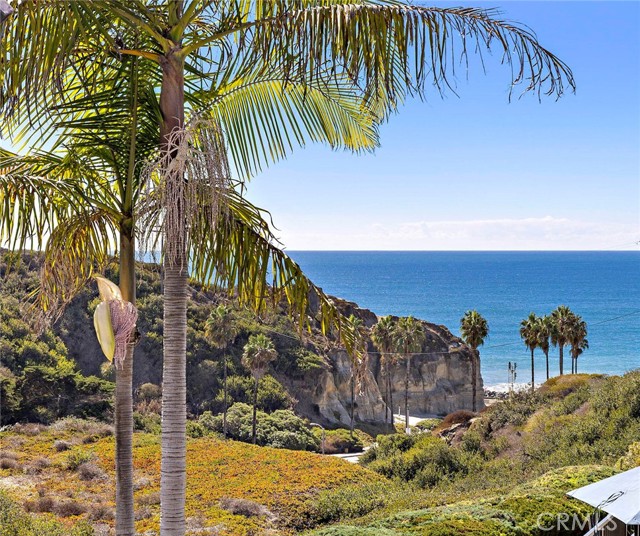 Front Image Thumbnail for CROC25236030