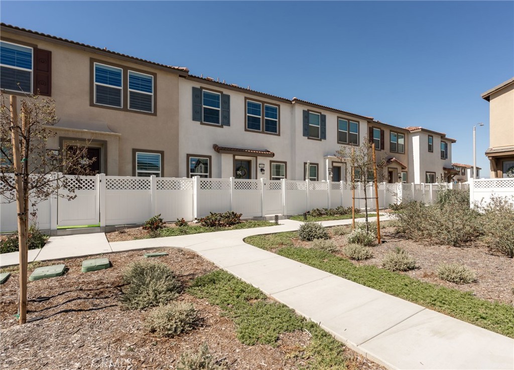 34495 Agave #23106