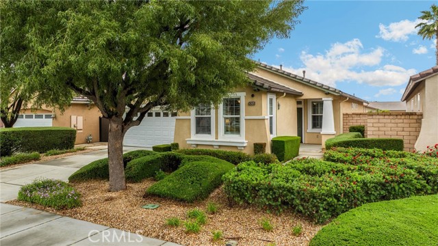 26253 Desert Rose Lane, Menifee CA: https://media.crmls.org/medias/ce311e44-78f8-4c1d-b47b-6d95b53daf7e.jpg