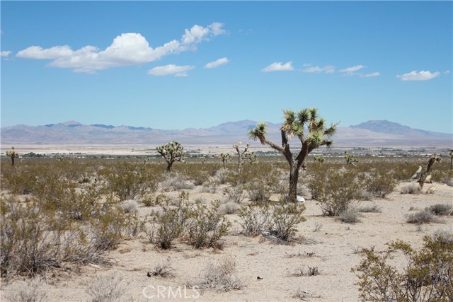 Detail Gallery Image 56 of 71 For 769 Meridian Rd, Lucerne Valley,  CA 92356 - – Beds | – Baths