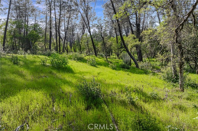 Detail Gallery Image 9 of 19 For 9200 Silver King Rd, Redding,  CA 96001 - – Beds | – Baths