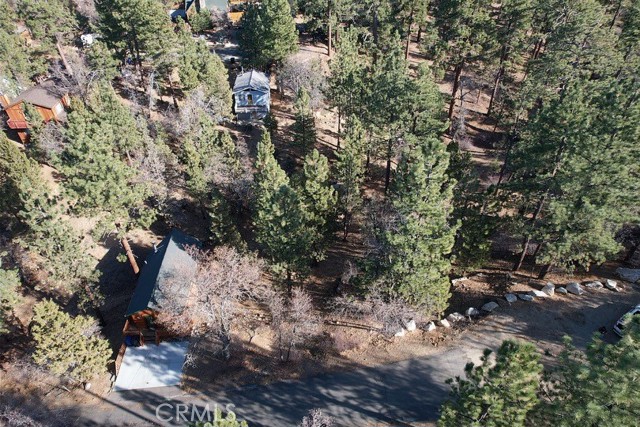 899 Kern Avenue, Sugarloaf CA: https://media.crmls.org/medias/ce36726a-9b8a-4c05-a539-882570bc92f8.jpg