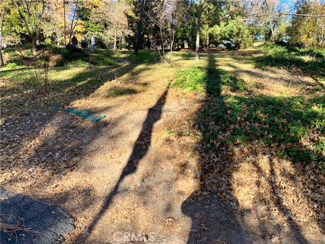 Detail Gallery Image 7 of 21 For 40 Park, Running Springs,  CA 92382 - – Beds | – Baths