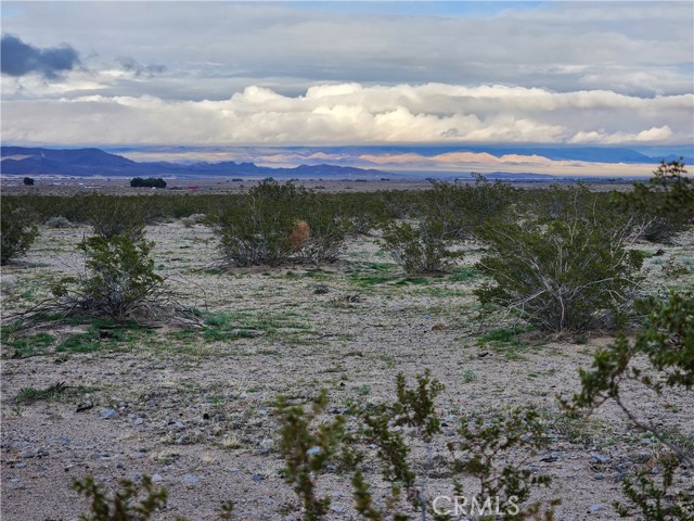 Detail Gallery Image 7 of 7 For 40 Ac Near Center Rd, Newberry Springs,  CA 92356 - – Beds | – Baths