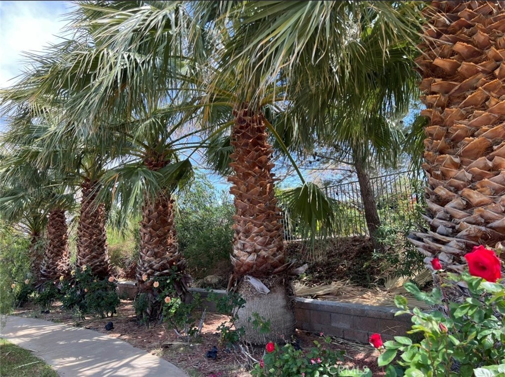 https://media.crmls.org/medias/ce4374d7-72f8-4d6f-8a03-3501943cf8db.jpg?preset=X-Large