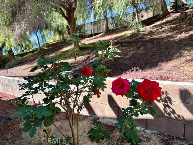 Detail Gallery Image 6 of 30 For 31600 Saddle Ridge Dr, Lake Elsinore,  CA 92532 - 3 Beds | 2 Baths