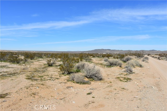 Detail Gallery Image 12 of 31 For 25 Frontier, Helendale,  CA 92342 - – Beds | – Baths