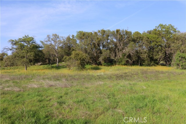 Detail Gallery Image 3 of 32 For 0 Douglas Rd, Coarsegold,  CA 93614 - – Beds | – Baths