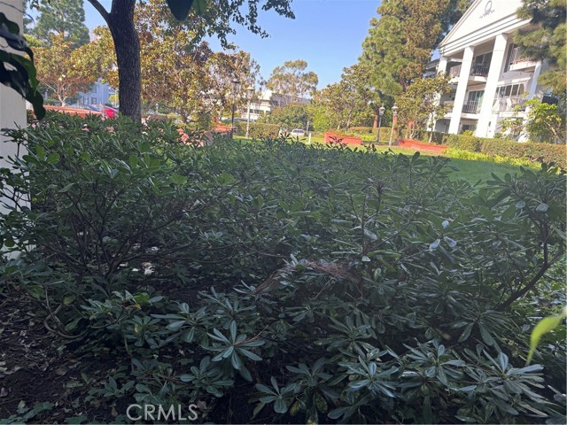 Detail Gallery Image 24 of 57 For 101 Scholz Plz #123,  Newport Beach,  CA 92663 - 1 Beds | 1 Baths