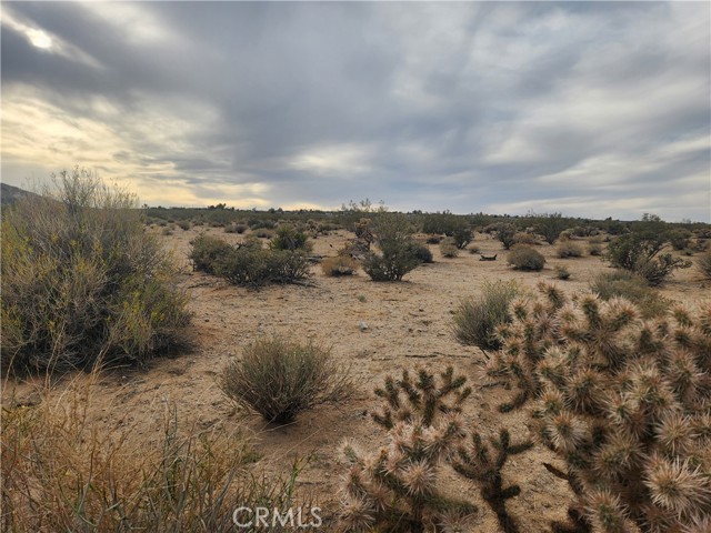 Detail Gallery Image 9 of 23 For 4147 Sunburst St, Joshua Tree,  CA 92252 - – Beds | – Baths