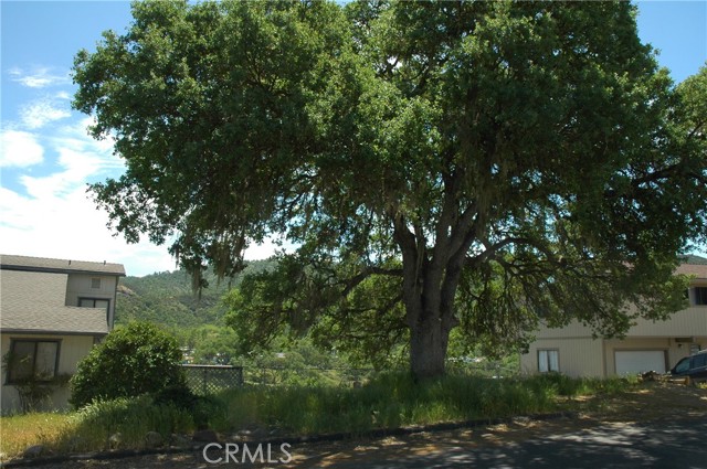 5042 Meadow Lark Lane, Paso Robles, California 93446, ,Land,For Sale,5042 Meadow Lark Lane,CRNS24045615