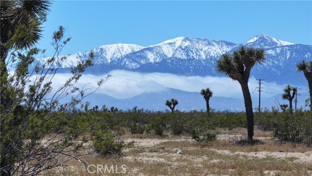 Detail Gallery Image 5 of 10 For 0 Palmdale Rd., Phelan,  CA 92392 - – Beds | – Baths