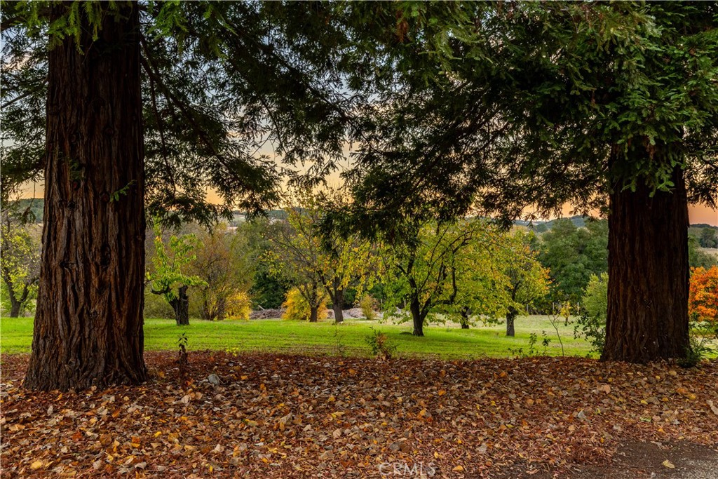 https://media.crmls.org/medias/ce6fa129-b9e1-4820-83dc-27fd46382e97.jpg?preset=X-Large