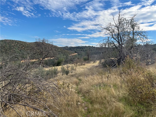 Detail Gallery Image 26 of 69 For 4934 Guadalupe Fire, Catheys Valley,  CA 95306 - – Beds | – Baths