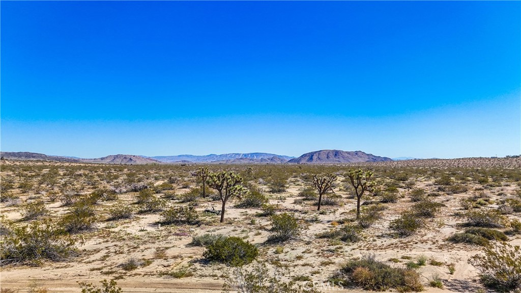 MLS #JT25078936 image #13