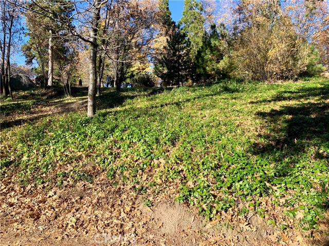 Detail Gallery Image 6 of 21 For 40 Park, Running Springs,  CA 92382 - – Beds | – Baths