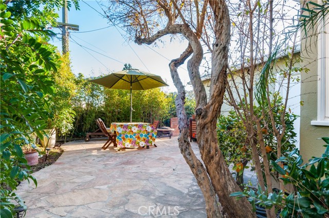 Lushly Landscaped Backyard
