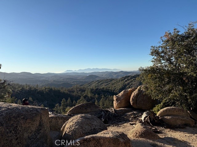 Detail Gallery Image 5 of 6 For 0 Bobcat Dr, Green Valley Lake,  CA 92341 - – Beds | – Baths