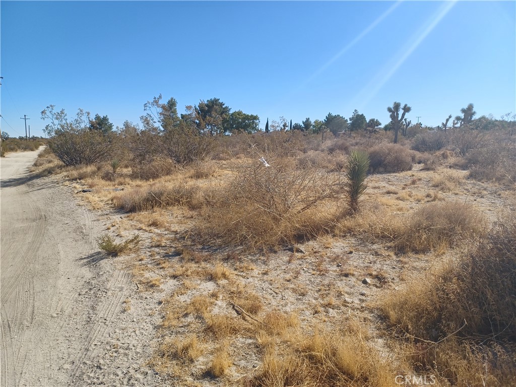 MLS #CV25117783 image #1