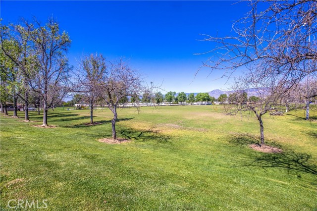 Detail Gallery Image 24 of 27 For 1720 Kingston, Redlands,  CA 92374 - 3 Beds | 2 Baths