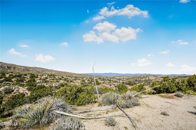 Detail Gallery Image 30 of 40 For 31720 96th Street East, Littlerock,  CA 93543 - 2 Beds | 2 Baths