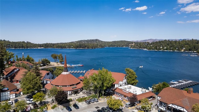 Detail Gallery Image 44 of 49 For 915 Trinity Dr, Lake Arrowhead,  CA 92352 - 4 Beds | 3/1 Baths