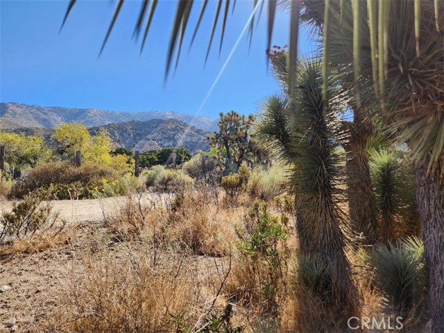 113 Stuveling, Phelan CA: https://media.crmls.org/medias/cea36306-d0a3-4a95-8541-32c8c6997998.jpg