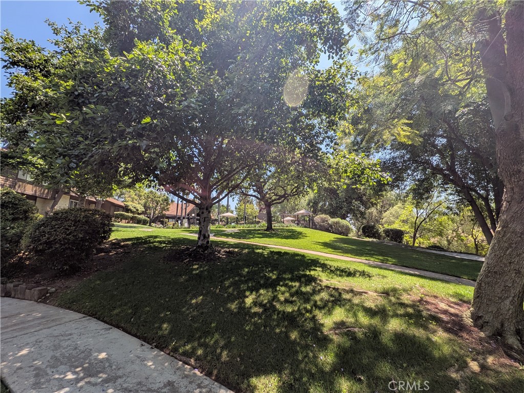 https://media.crmls.org/medias/cead2a13-0f90-4344-92c7-cec0ca5f5b93.jpg?preset=X-Large