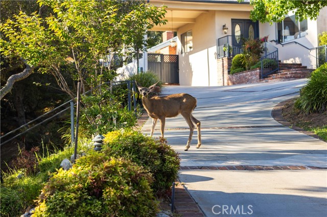 1001 Briarcliff photo 47