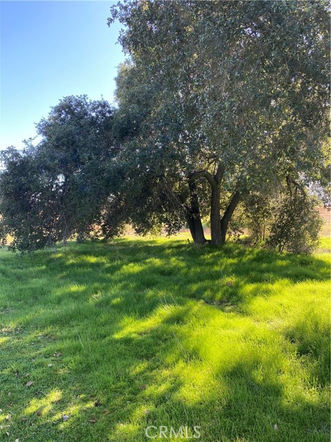 0 Lynch Ln, Hemet, CA, 92544 0 Lynch Ln, Hemet, CA, 92544