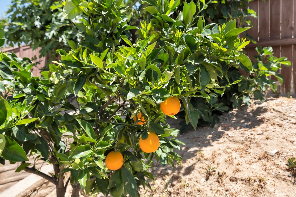 https://media.crmls.org/medias/cec2bdbd-7d1c-4727-9600-c606bc527622.jpg?preset=X-Large