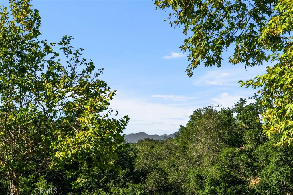 https://media.crmls.org/medias/cec605e7-760d-4379-aedb-10eb7f530d58.jpg?preset=X-Large
