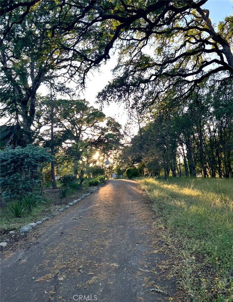 https://media.crmls.org/medias/ced06fce-2d52-45f4-be76-2a3447249074.jpg?preset=X-Large