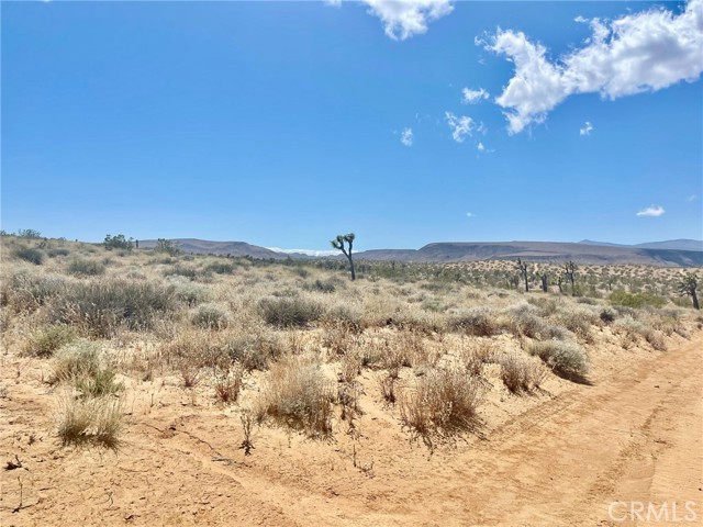 Detail Gallery Image 8 of 19 For 20 Acres, Yucca Valley,  CA 92285 - – Beds | – Baths