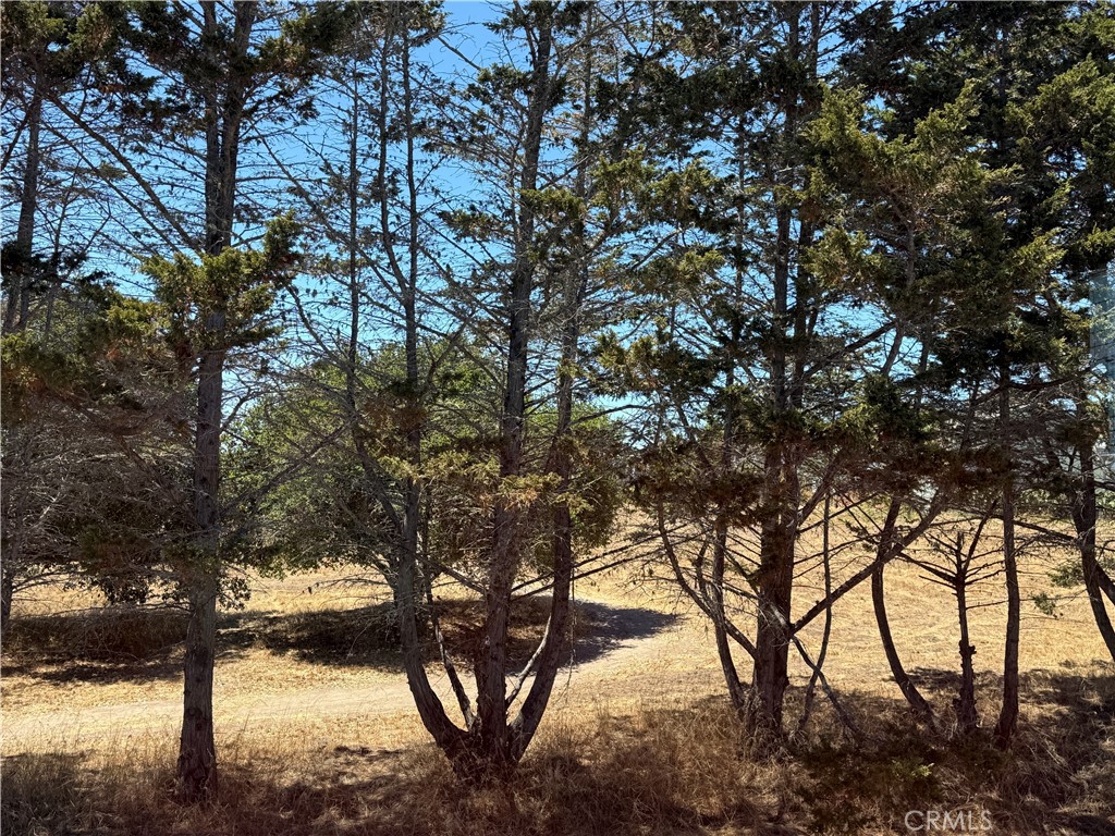 https://media.crmls.org/medias/cee47eb2-a250-4fcf-987c-ba09fd7db003.jpg?preset=X-Large