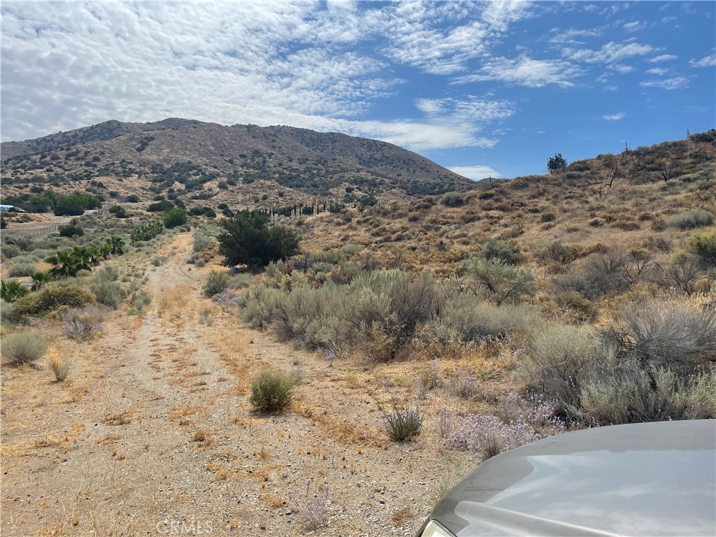 MLS #SR26174386 image #7