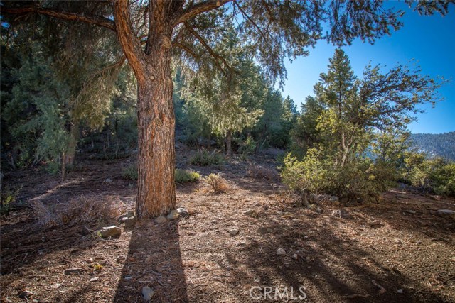 Detail Gallery Image 13 of 18 For 1824 Saint Anton Dr, –,  CA 93222 - – Beds | – Baths