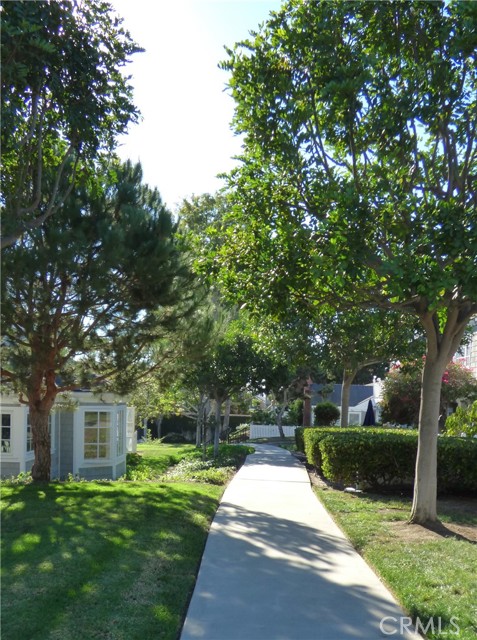 Detail Gallery Image 55 of 64 For 33952 Cape Cove, Dana Point,  CA 92629 - 3 Beds | 2/1 Baths
