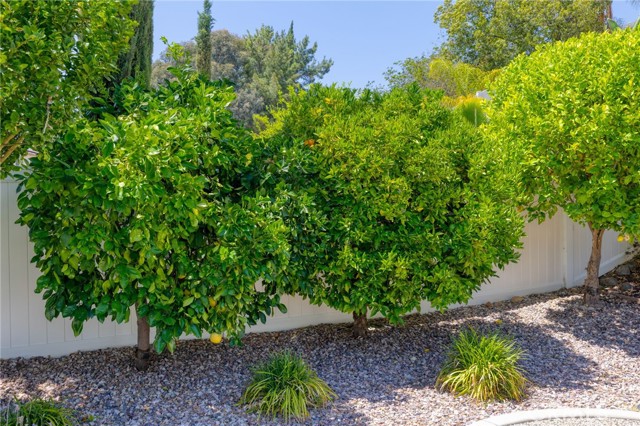 Image 29 of 42 For 23832 Matador Way