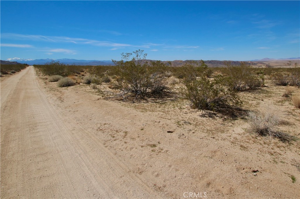 MLS #JT21090590 image #13