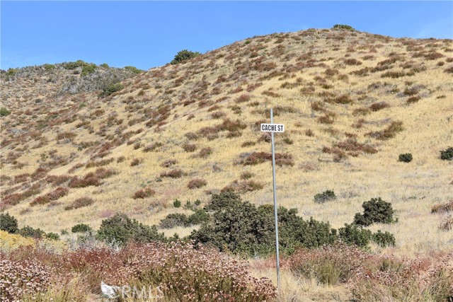 1 Vac/Cor Shallow Spring Rd/Cach Street, Leona Valley, California 93551, ,Land,For Sale,1 Vac/Cor Shallow Spring Rd/Cach Street,CRSR23208734