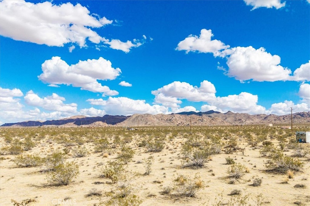 MLS #JT25078199 image #4